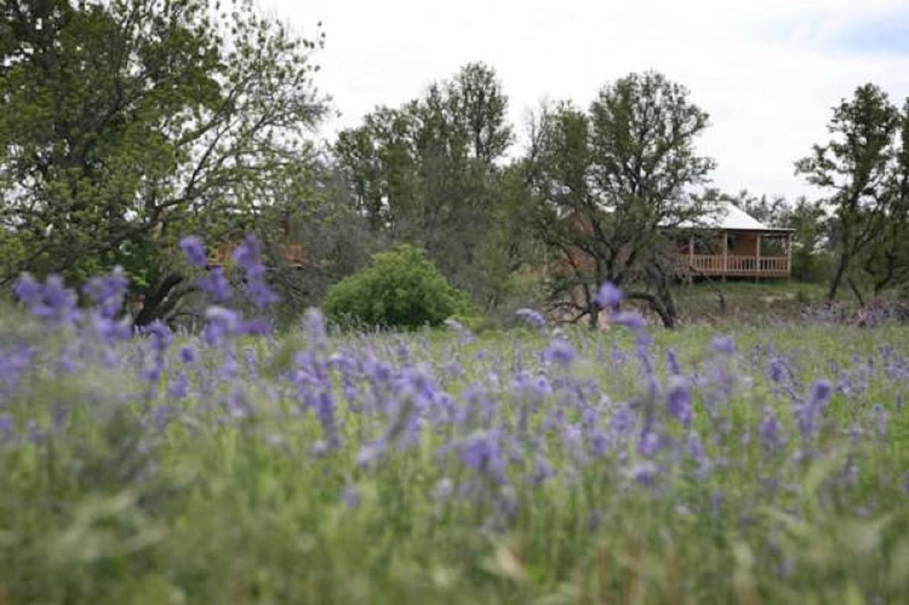 City On A Hill At Spring Creek Fredericksburg Extérieur photo