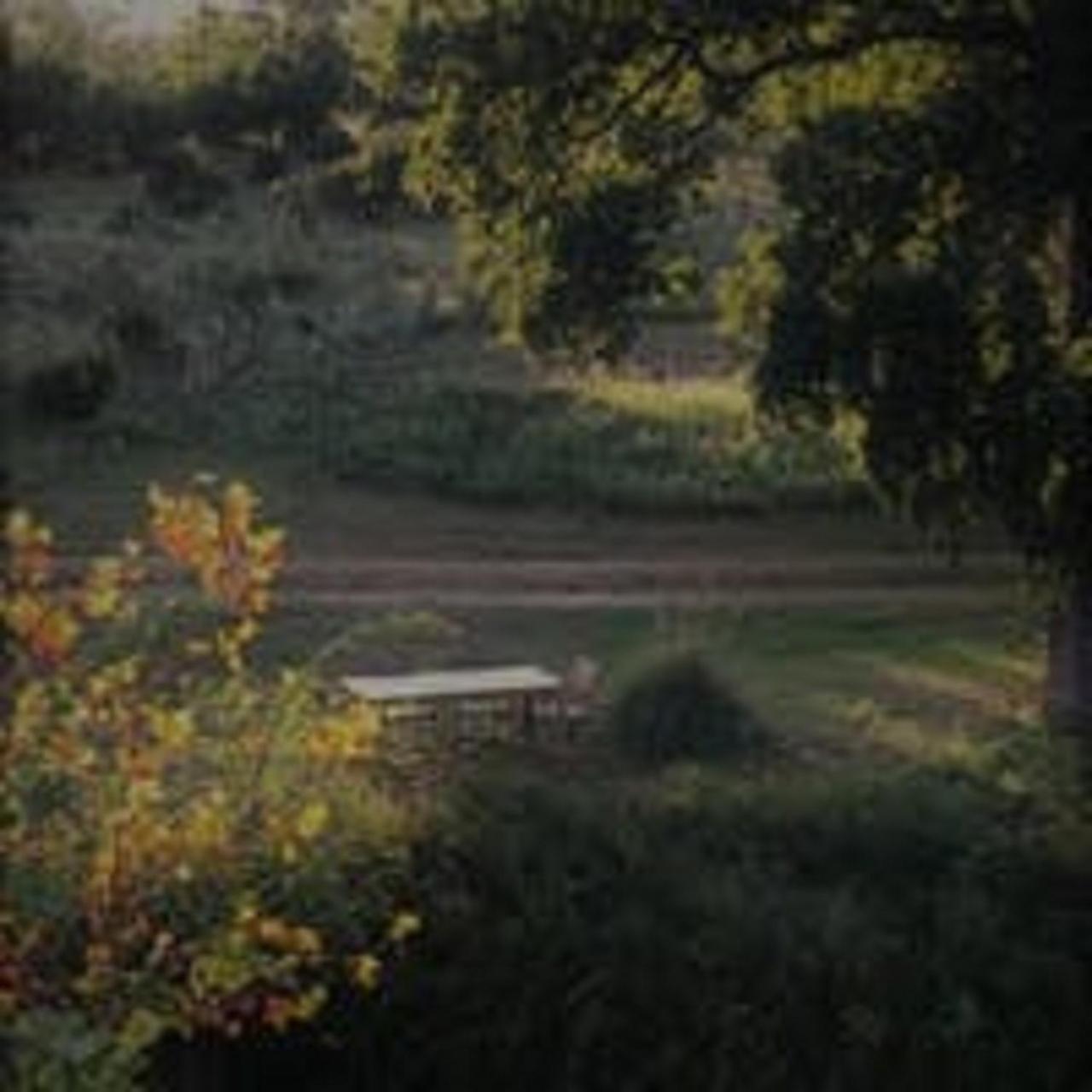 City On A Hill At Spring Creek Fredericksburg Extérieur photo