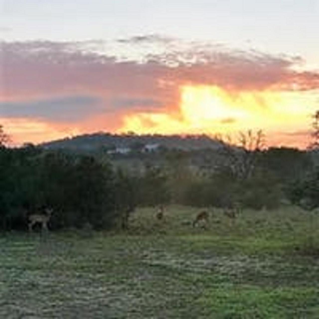 City On A Hill At Spring Creek Fredericksburg Extérieur photo