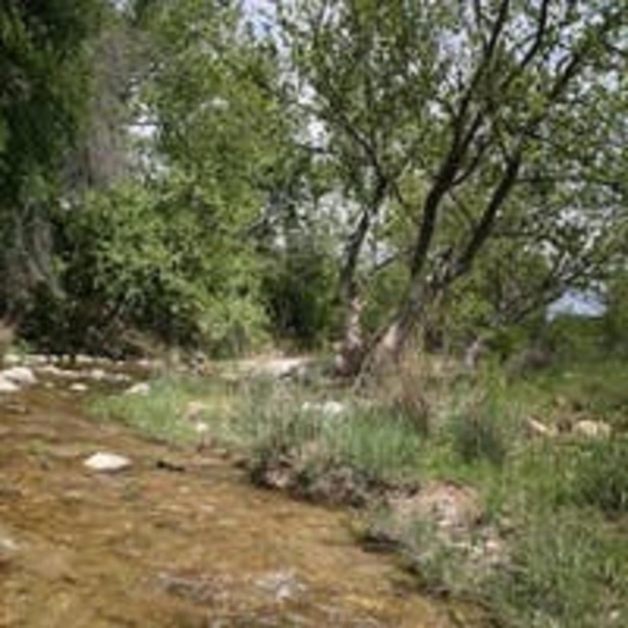 City On A Hill At Spring Creek Fredericksburg Extérieur photo